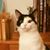 Elizabeth Wood's profile image