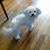 Theedra Gaines's profile image