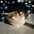 Michelle Orr-Brunner's profile image