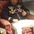 Geovani Mendez's profile image