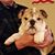Peggy Mosher Sundling's profile image