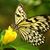 Cathy Grove Born's profile image