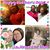 Theresa Copeland McCornack's profile image