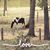Donna Lanning Thackston's profile image