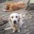Brian Clark's profile image