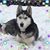 Lisa Baker Attenberger's profile image