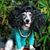 Renee Armentrout's profile image