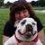 Tracy Plunkett Glass's profile image