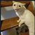 Dekova Hall's profile image