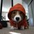 Sandy Henry's profile image
