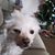 Carol Lightburn's profile image