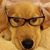 Arthur Chan's profile image