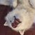 John Whyteowle Humes's profile image