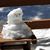 Linda Camphuis's profile image