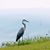 Sandi Galloway's profile image