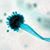 Mary Lindseth's profile image