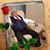 Samira Salameh's profile image