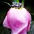 Rebecca Eagan's profile image