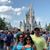 Patricia Pajor's profile image
