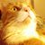Yvonne Edmunds's profile image