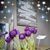 Paula Hester's profile image