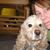 Colleen Konieczny's profile image