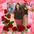 Yolanda Shaw Jordan's profile image