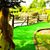 Karyn Lofgren-Shippee's profile image