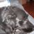 Bruce McRae's profile image