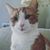 Lori Burke's profile image