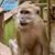 Donald J. Schaffer's profile image