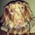 Jennifer Blythe's profile image