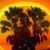 Joe Gellner's profile image