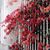 Neveen Fouad's profile image