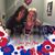 Maria Bivona Grieve's profile image