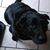 Katie Stidham's profile image