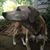 Daisy Pendergast's profile image