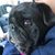 Kasha Jobson Hill's profile image