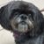 Angie Poore's profile image