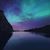 Donna Coyle Hadnot's profile image