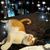 Marsha Iverson's profile image