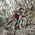 Juan Gago Reiriz's profile image