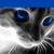 Christy Steen's profile image