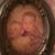 Dana Ledon Nichols's profile image