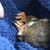 Jaimi Lynn Loomis's profile image