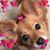 Jeanne Labrie Shockley's profile image