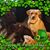 Kris Hale-Gibbs's profile image