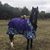 Debbie Olmsted's profile image