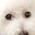 Judy Allen Neese's profile image