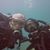 Mike Stinchcomb's profile image